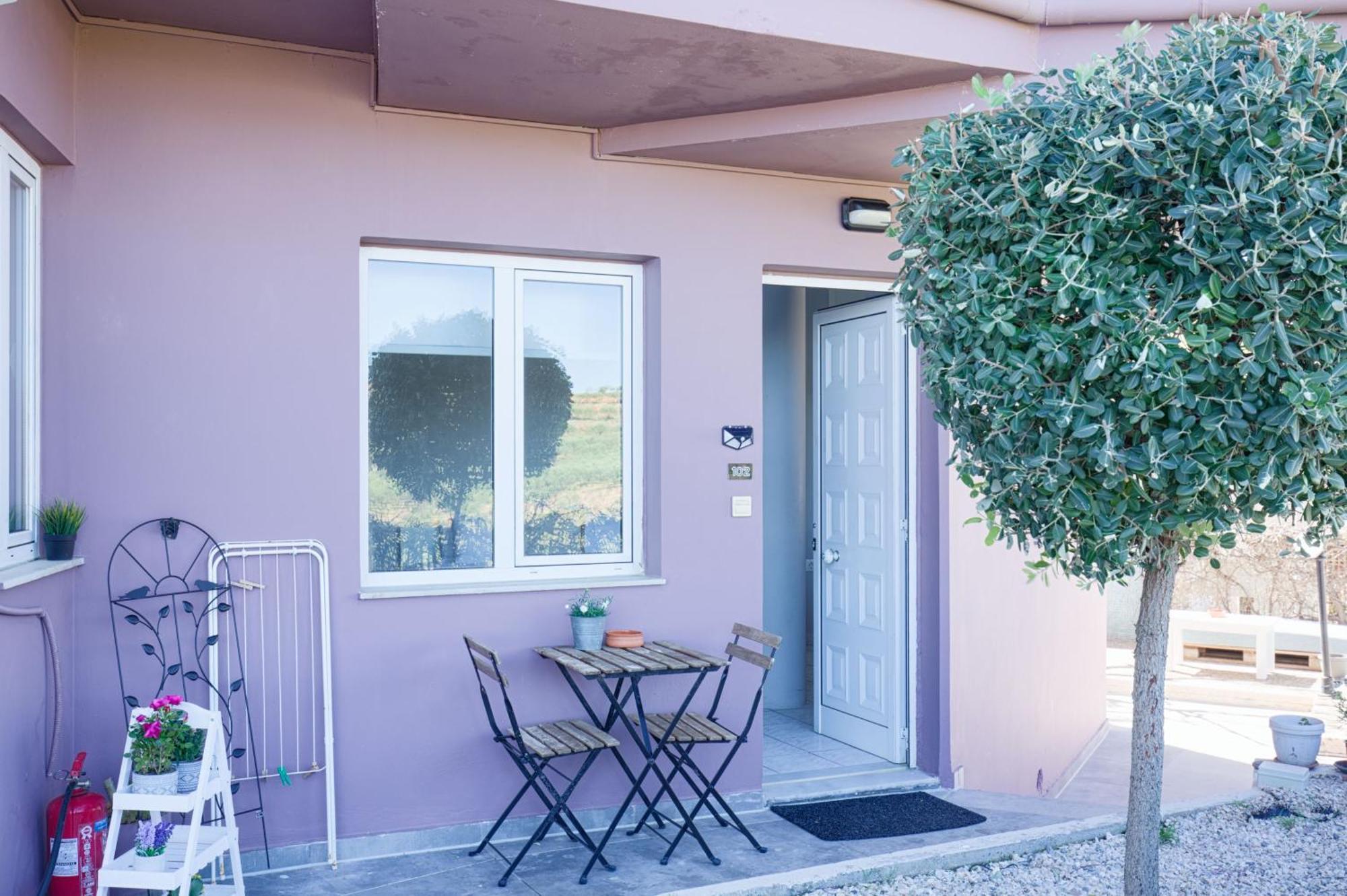 קאטו דרטסו Yasmine Apartments And Rooms מראה חיצוני תמונה
